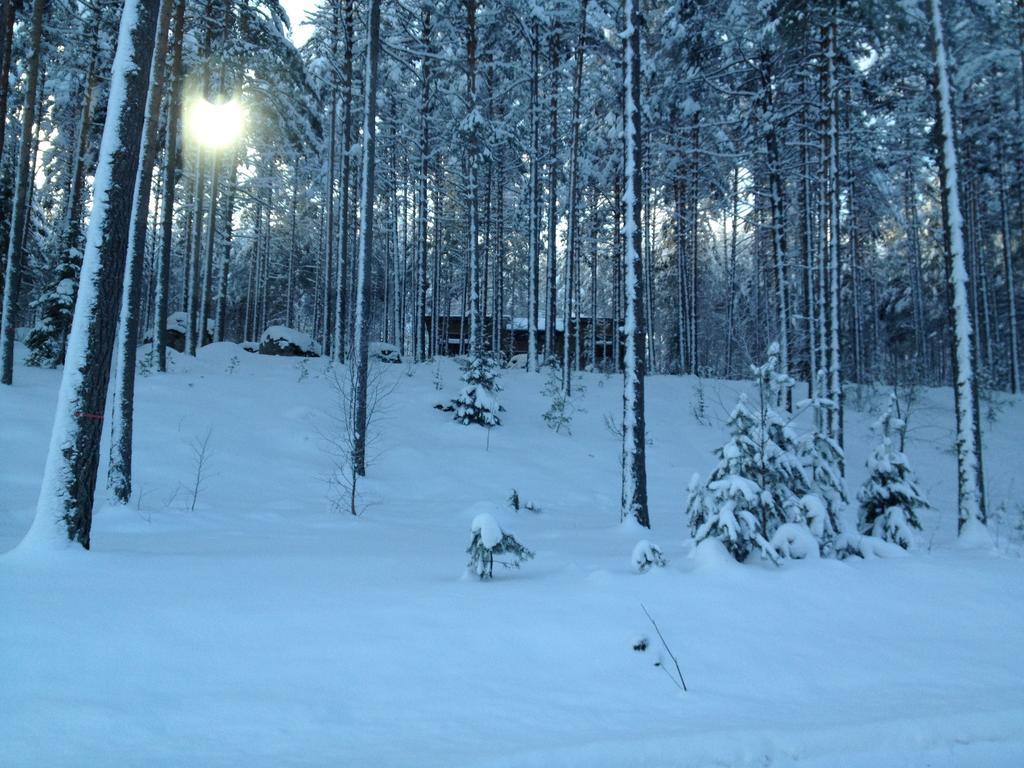 Kultainen Kaava Cottages Padasjoki المظهر الخارجي الصورة